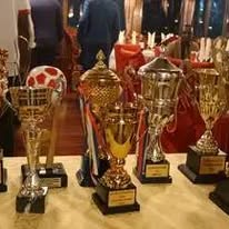 Collection de trophées remportés par MANGA DFIP